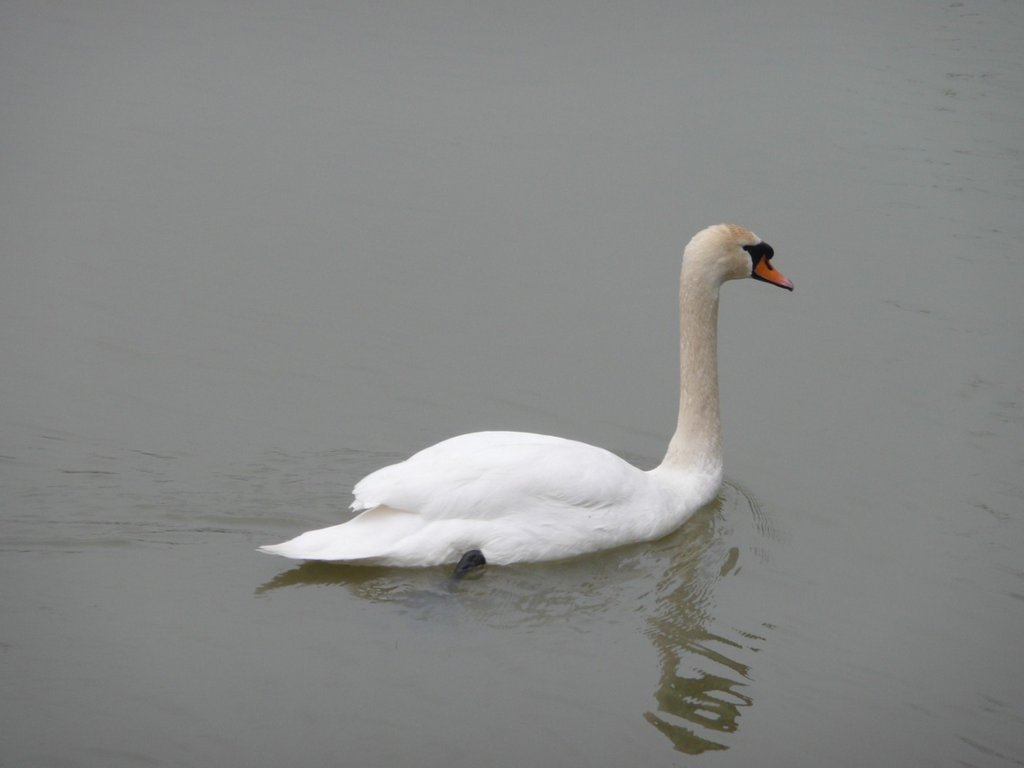 P1280489 [Résolution de l'écran]